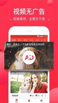 西瓜视频免费入口观看,畅享海量精彩内容